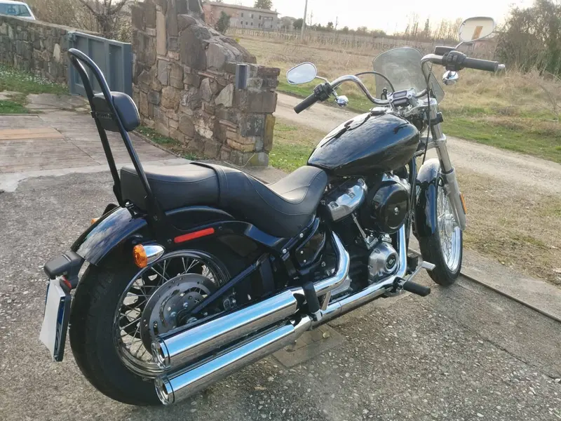 Harley-Davidson Softail Standard (2020) - FXST (3)