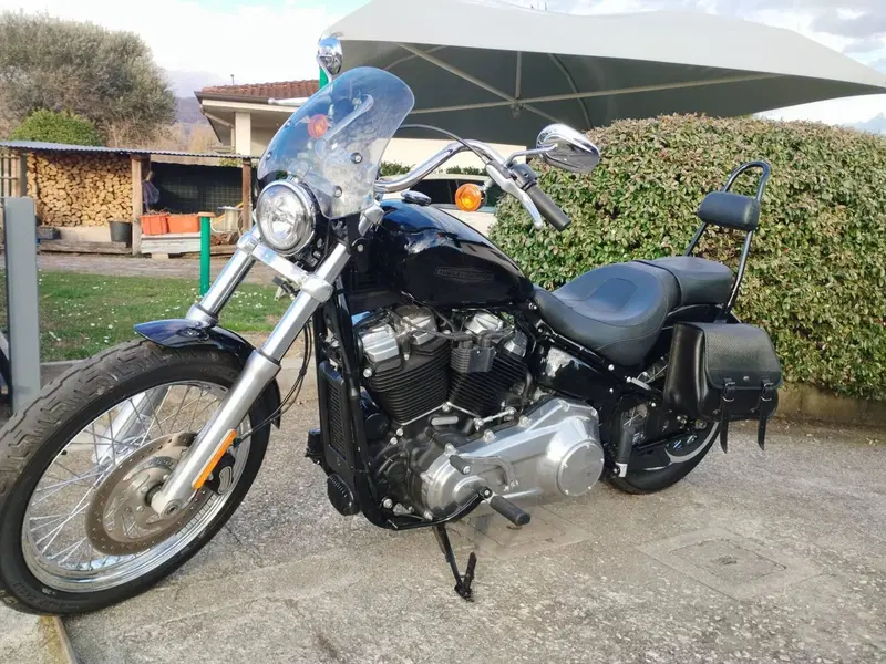Harley-Davidson Softail Standard (2020) - FXST (4)