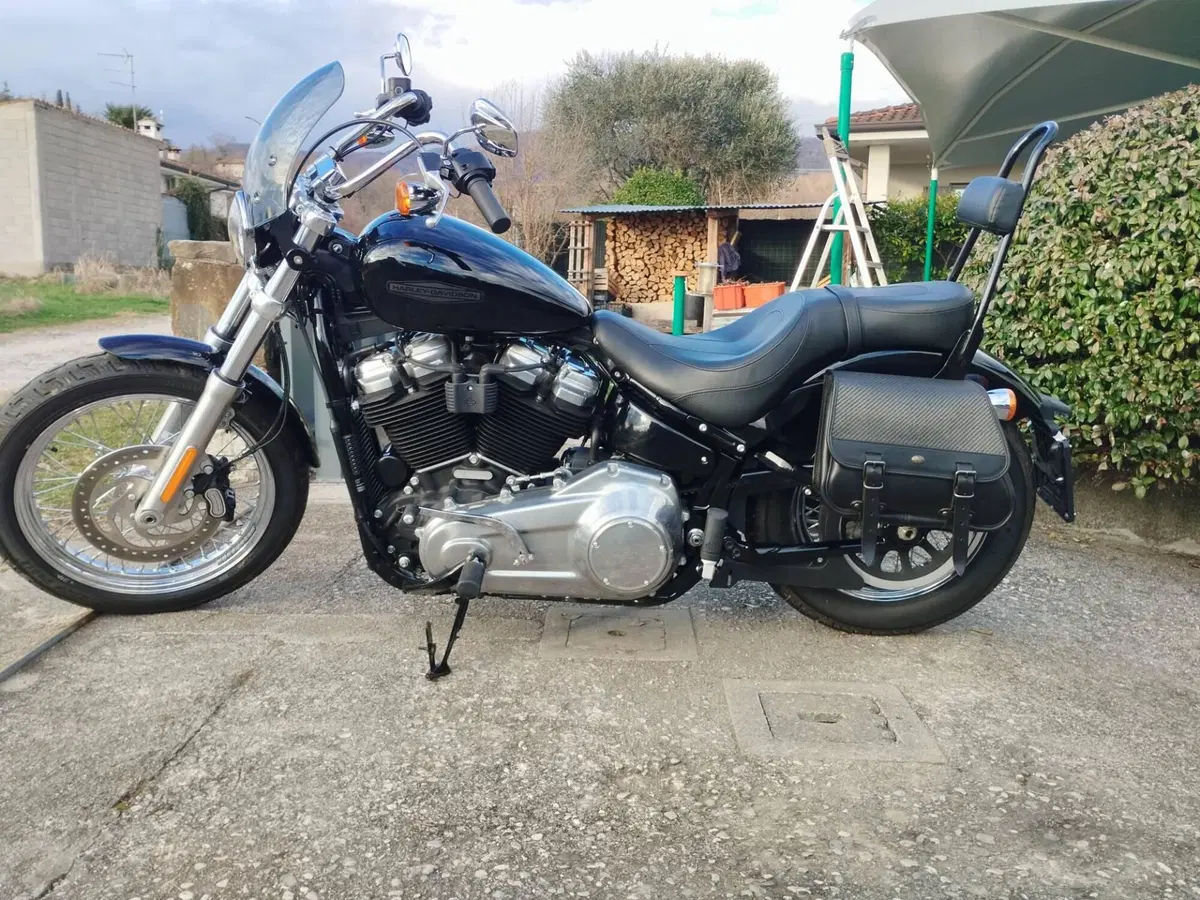 Harley-Davidson Softail Standard (2020) - FXST (5)