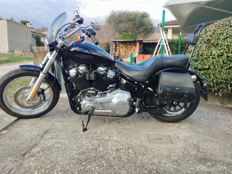 Harley-Davidson Softail Standard (2020) - FXST (5)