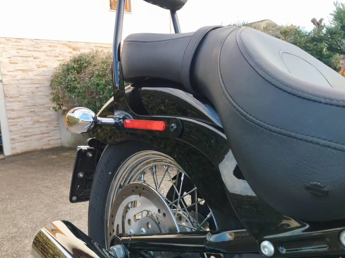 Harley-Davidson Softail Standard (2020) - FXST (7)