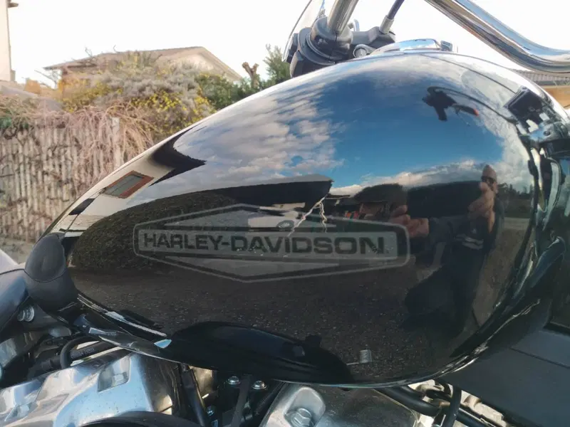 Harley-Davidson Softail Standard (2020) - FXST (12)