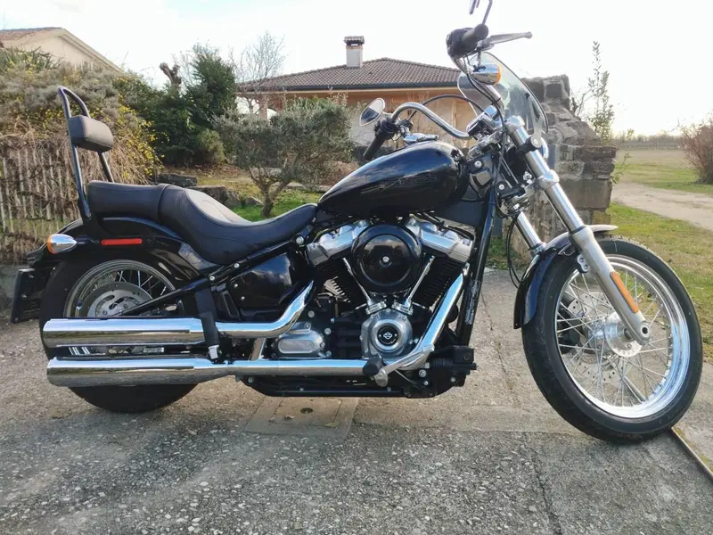 Harley-Davidson Softail Standard (2020) - FXST (14)