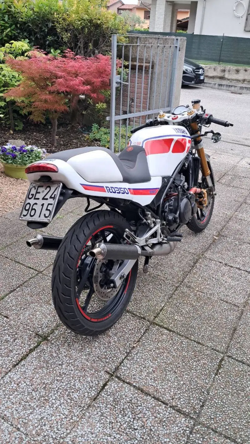 Yamaha RD 350 LCF (1988 - 93) (6)