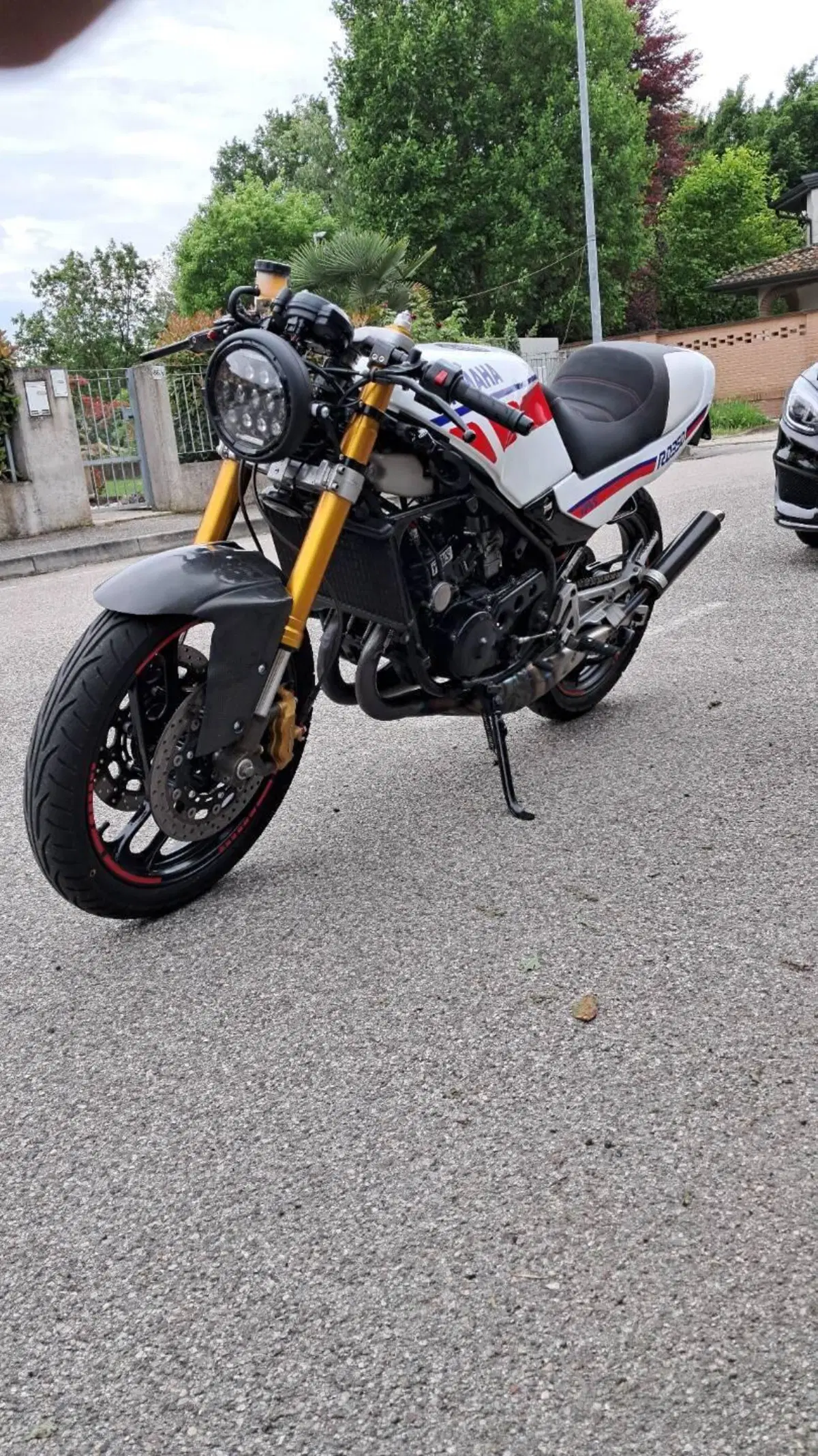 Yamaha RD 350 LCF (1988 - 93) (10)