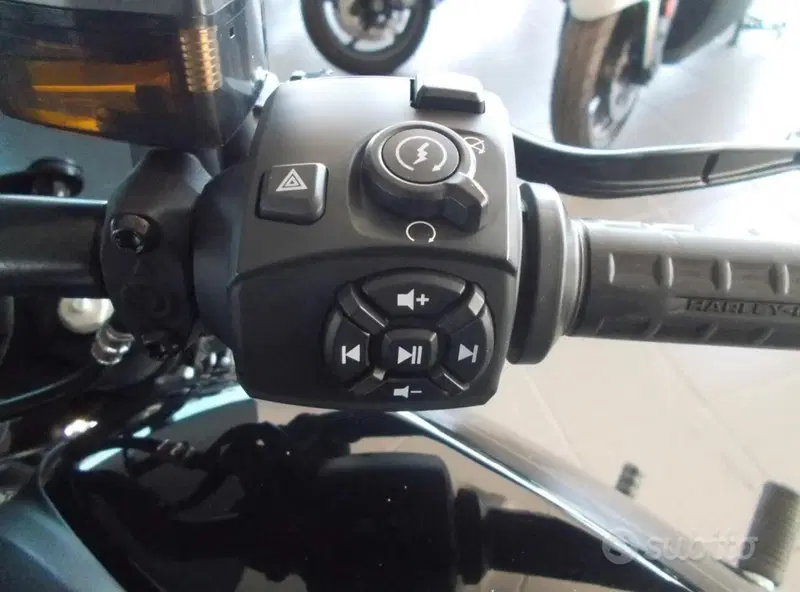 Harley-Davidson Sportster S (2022 - 24) (3)