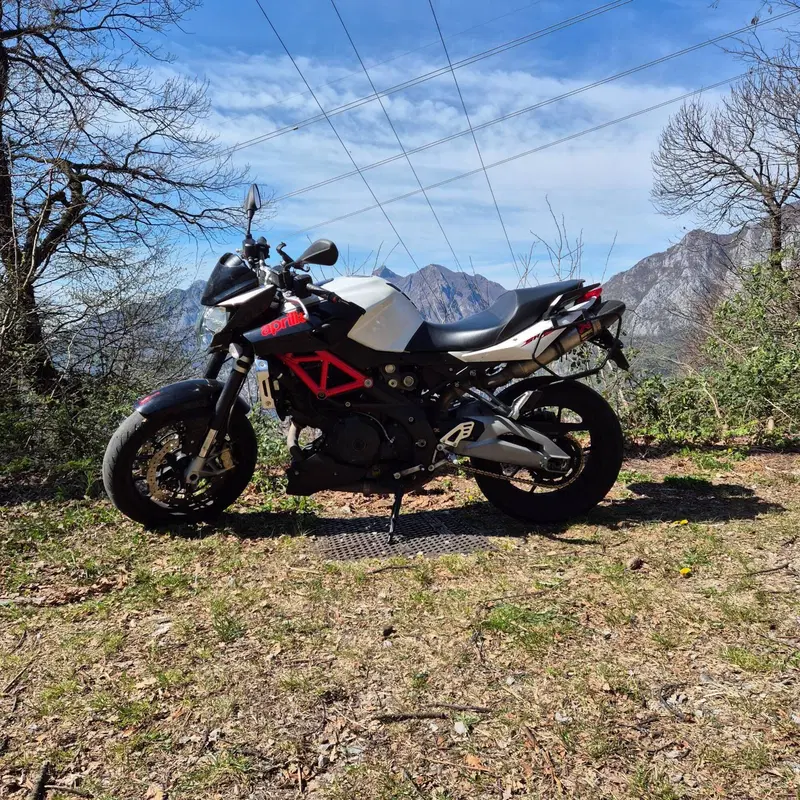 Aprilia Shiver 750 (2010 - 16)