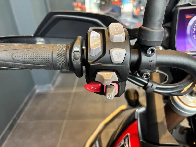 Triumph Tiger 900 Rally Pro (2024 - 26) (6)