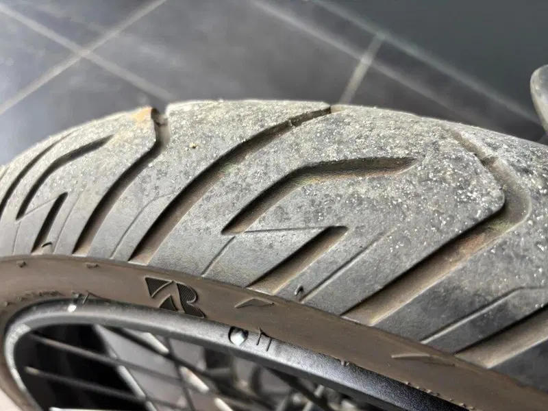 Triumph Tiger 900 Rally Pro (2024 - 26) (15)