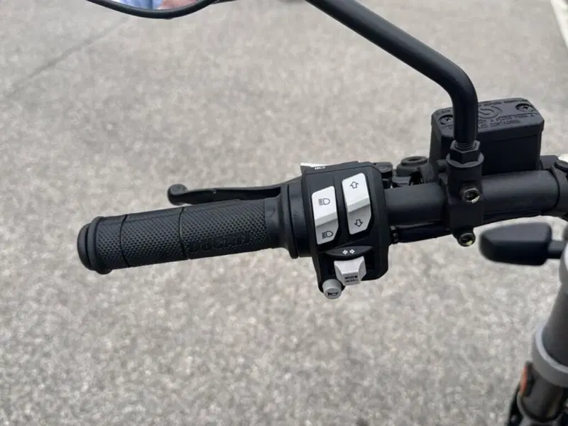 Ducati Scrambler 800 Desert Sled (2021 - 22) (9)