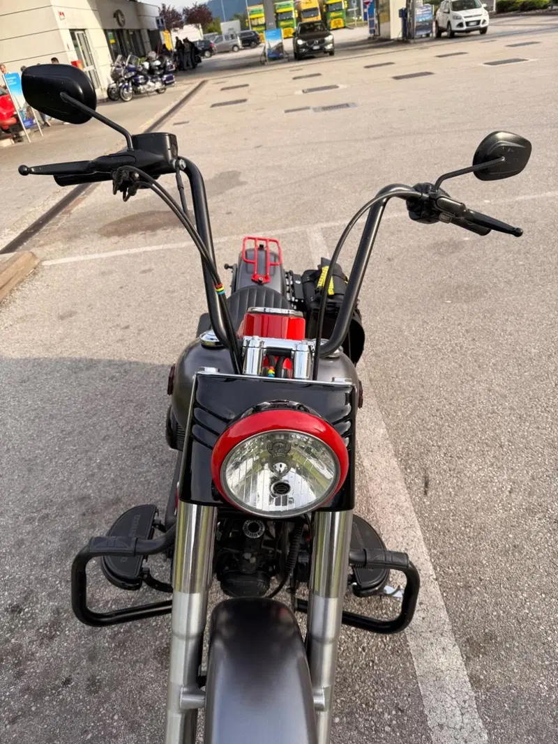 Harley-Davidson 1690 Deluxe ABS (2011 - 16) - FLSTN (3)
