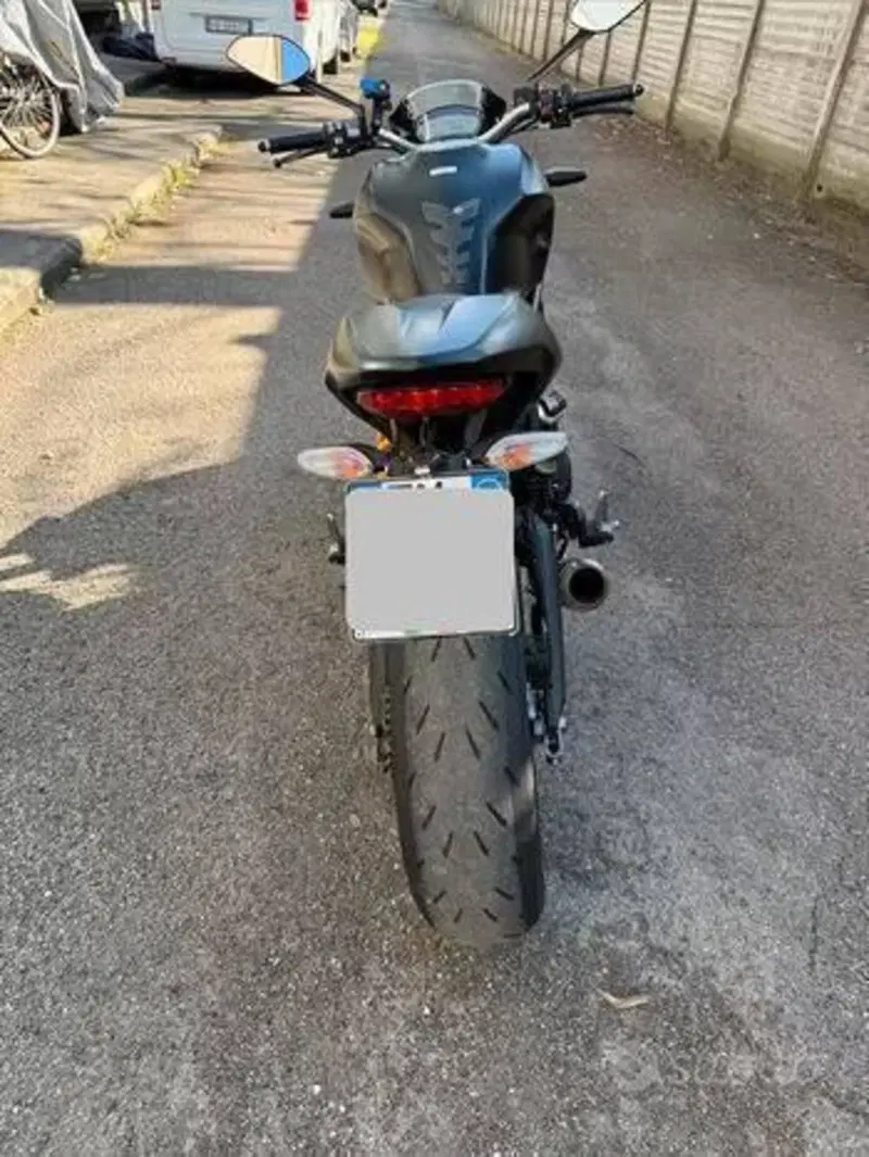 Ducati Monster 797 (2019 - 20) (5)