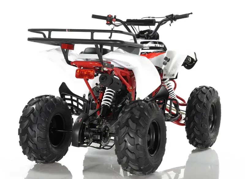  Altre moto o tipologie Quad (4)