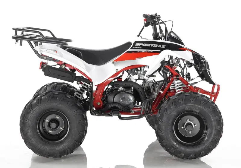  Altre moto o tipologie Quad (5)