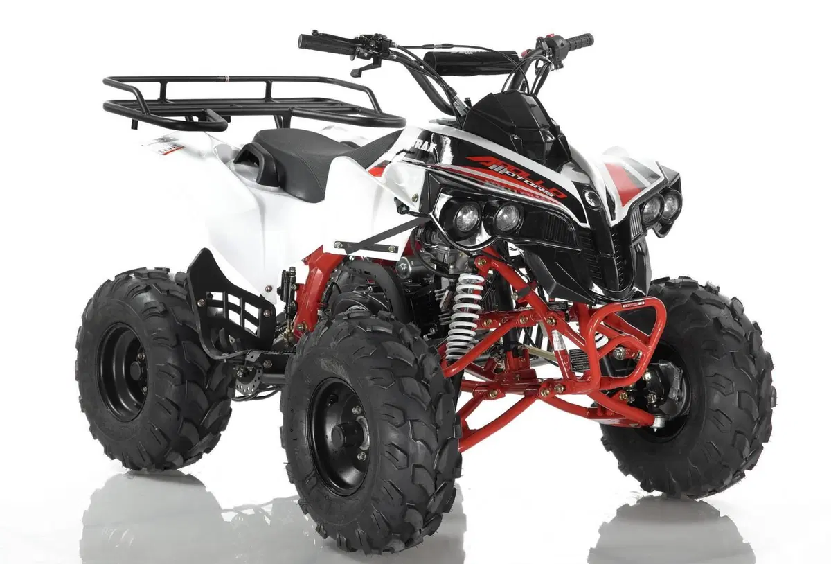  Altre moto o tipologie Quad (6)