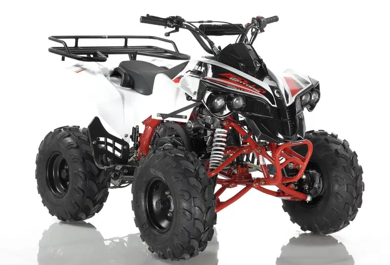  Altre moto o tipologie Quad (6)