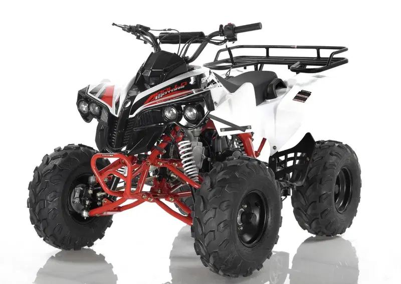  Altre moto o tipologie Quad (7)