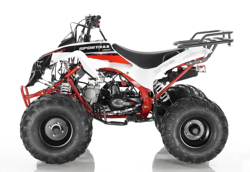 Altre moto o tipologie Quad (8)