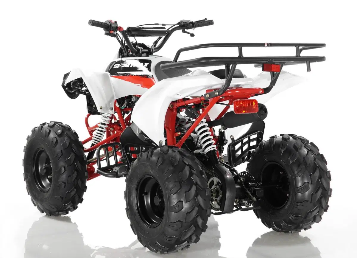  Altre moto o tipologie Quad (9)