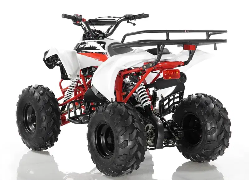  Altre moto o tipologie Quad (9)