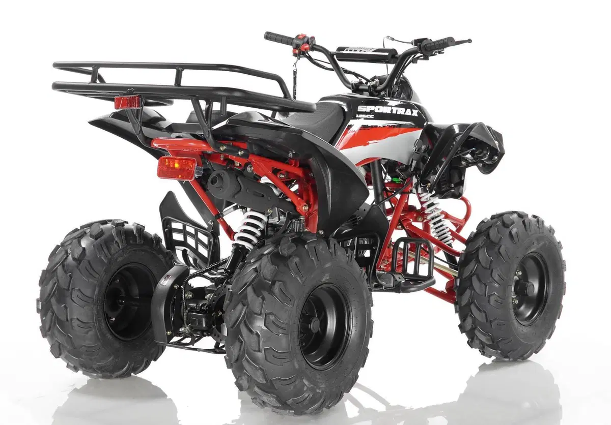  Altre moto o tipologie Quad (10)