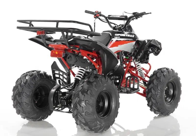  Altre moto o tipologie Quad (10)