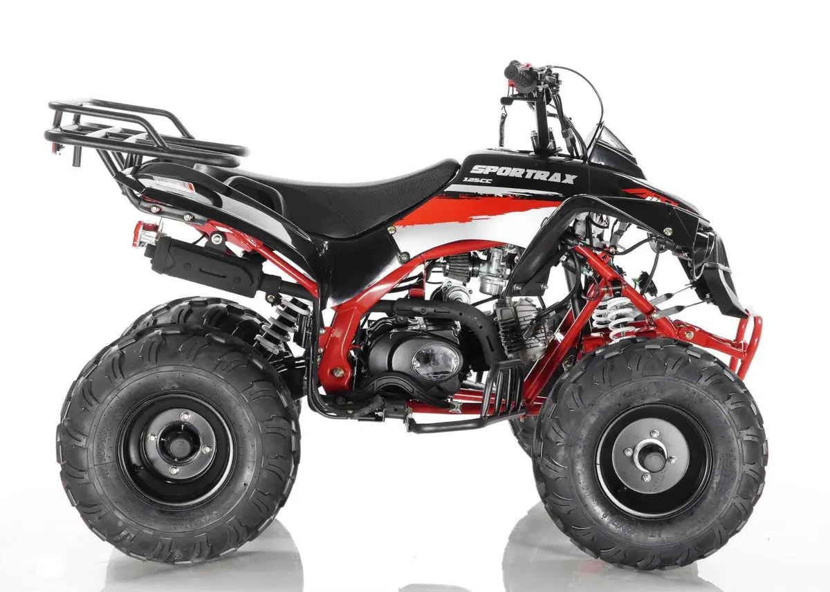  Altre moto o tipologie Quad (11)