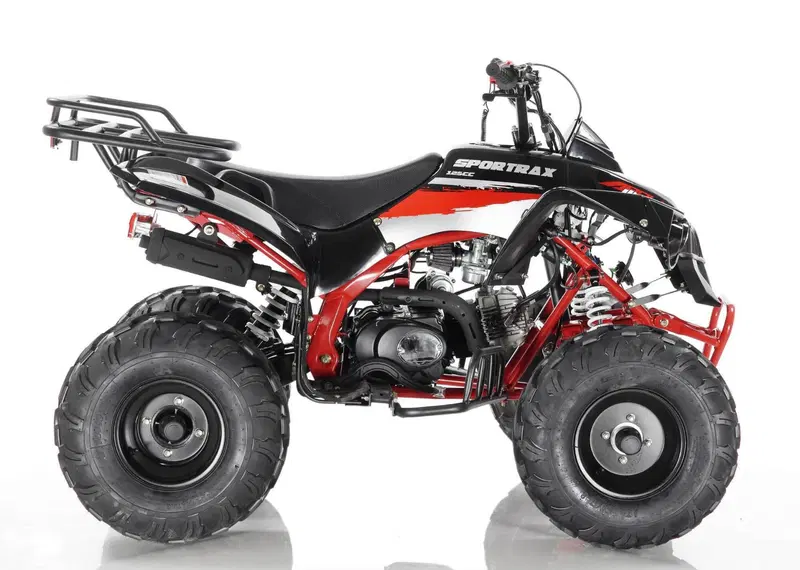  Altre moto o tipologie Quad (11)