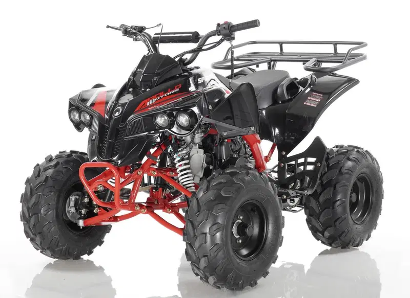  Altre moto o tipologie Quad (13)