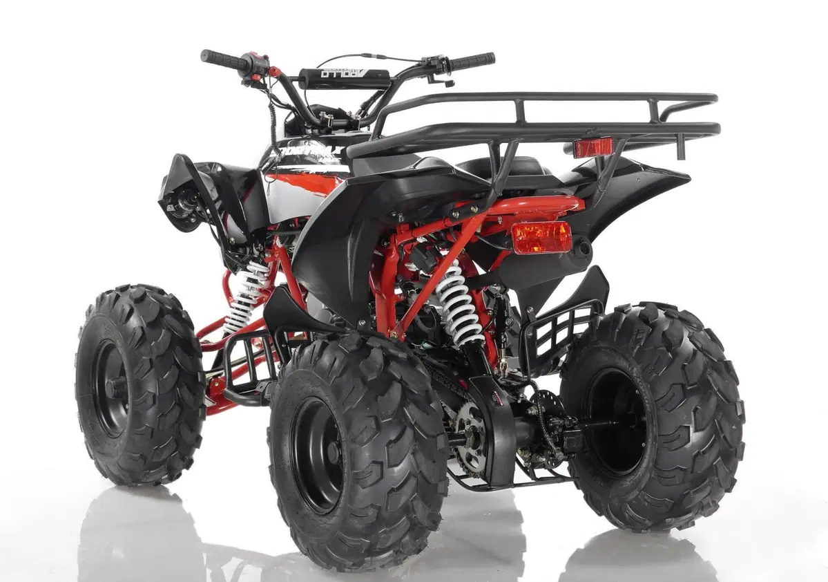  Altre moto o tipologie Quad (15)