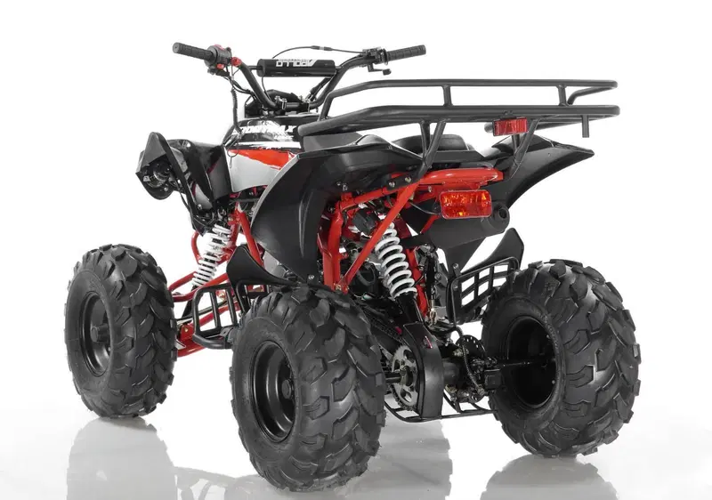  Altre moto o tipologie Quad (15)