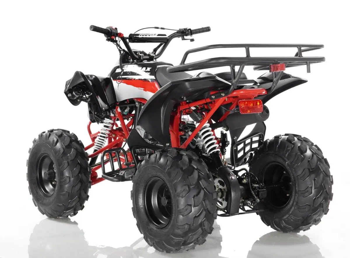  Altre moto o tipologie Quad (16)
