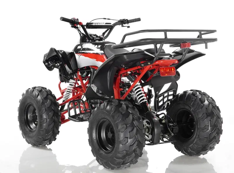 Altre moto o tipologie Quad (16)