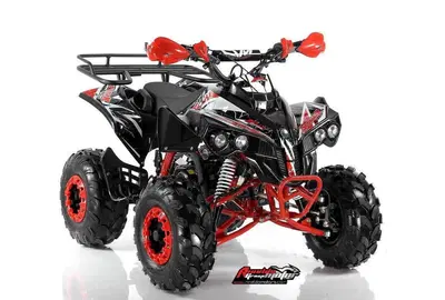 Altre moto o tipologie Quad nuova
