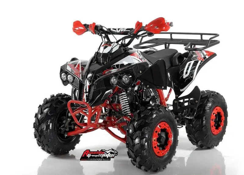  Altre moto o tipologie Quad (3)