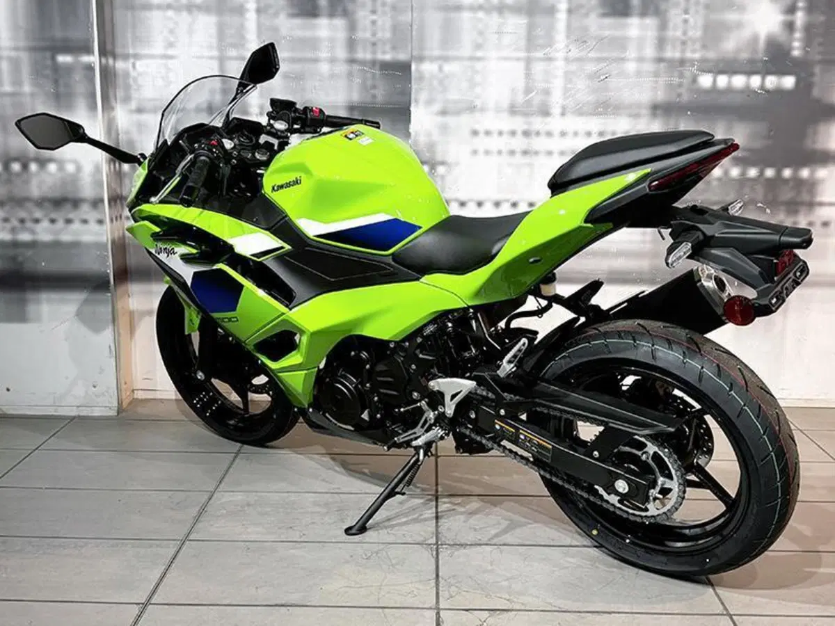Kawasaki Ninja 500 SE (2024 - 26) (2)