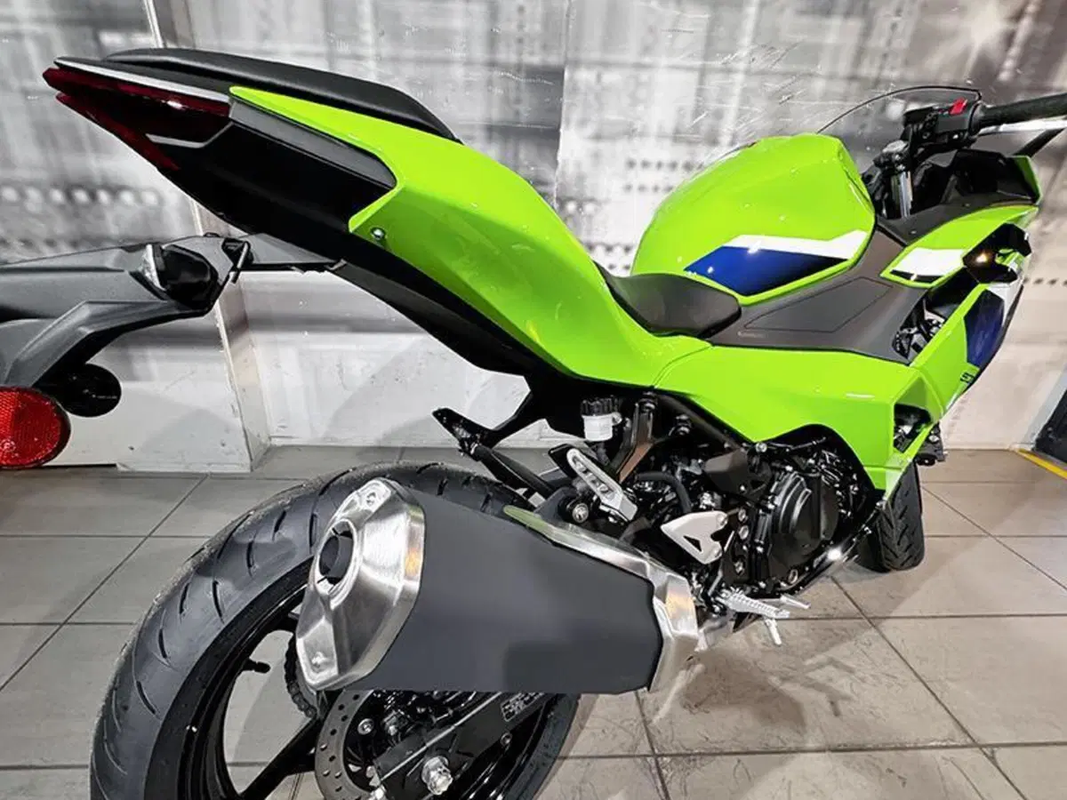 Kawasaki Ninja 500 SE (2024 - 26) (5)
