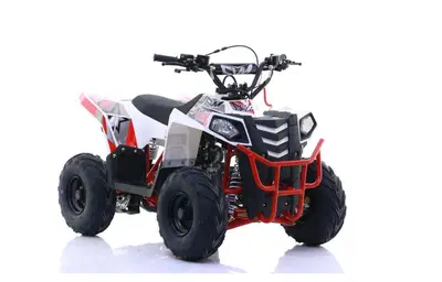  Altre moto o tipologie Quad nuova