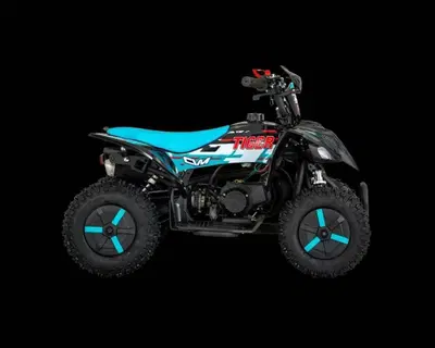  Altre moto o tipologie Quad nuova