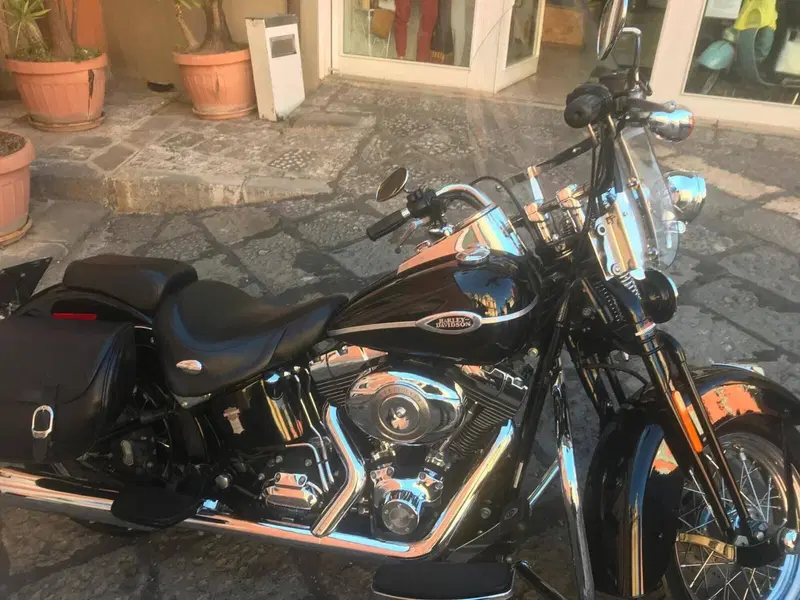 Harley-Davidson 1584 Springer Classic (2006 - 07) - FLSTSC (5)