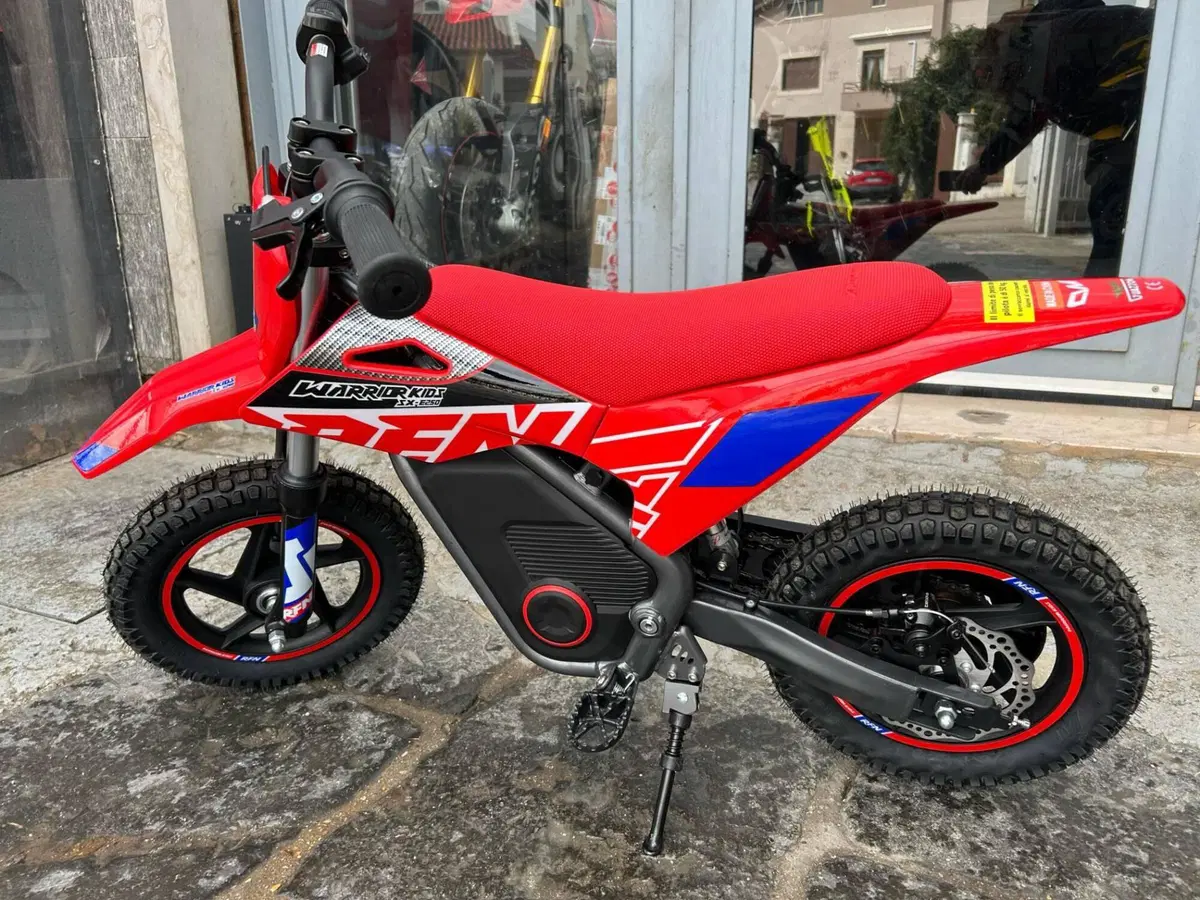  Altre moto o tipologie Elettrico (3)