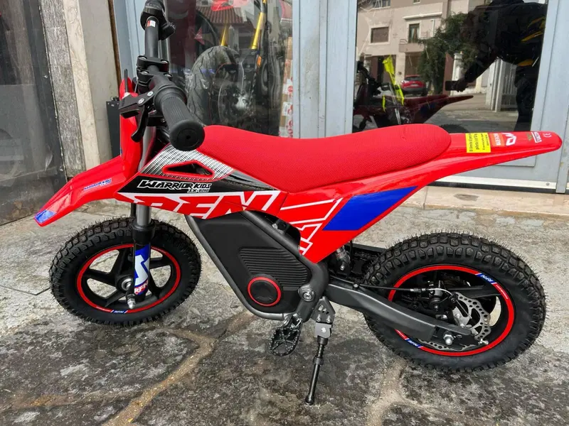  Altre moto o tipologie Elettrico (3)