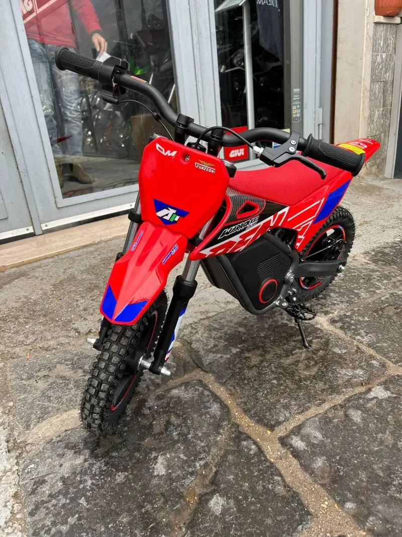 Altre moto o tipologie Elettrico (4)
