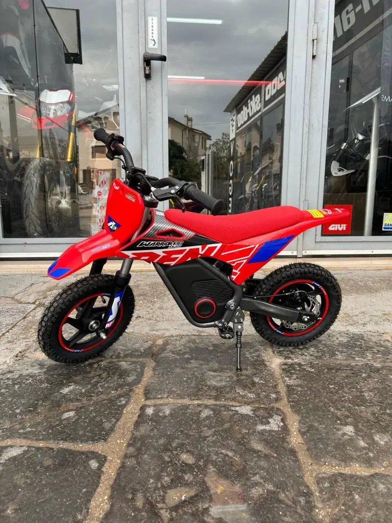  Altre moto o tipologie Elettrico (5)
