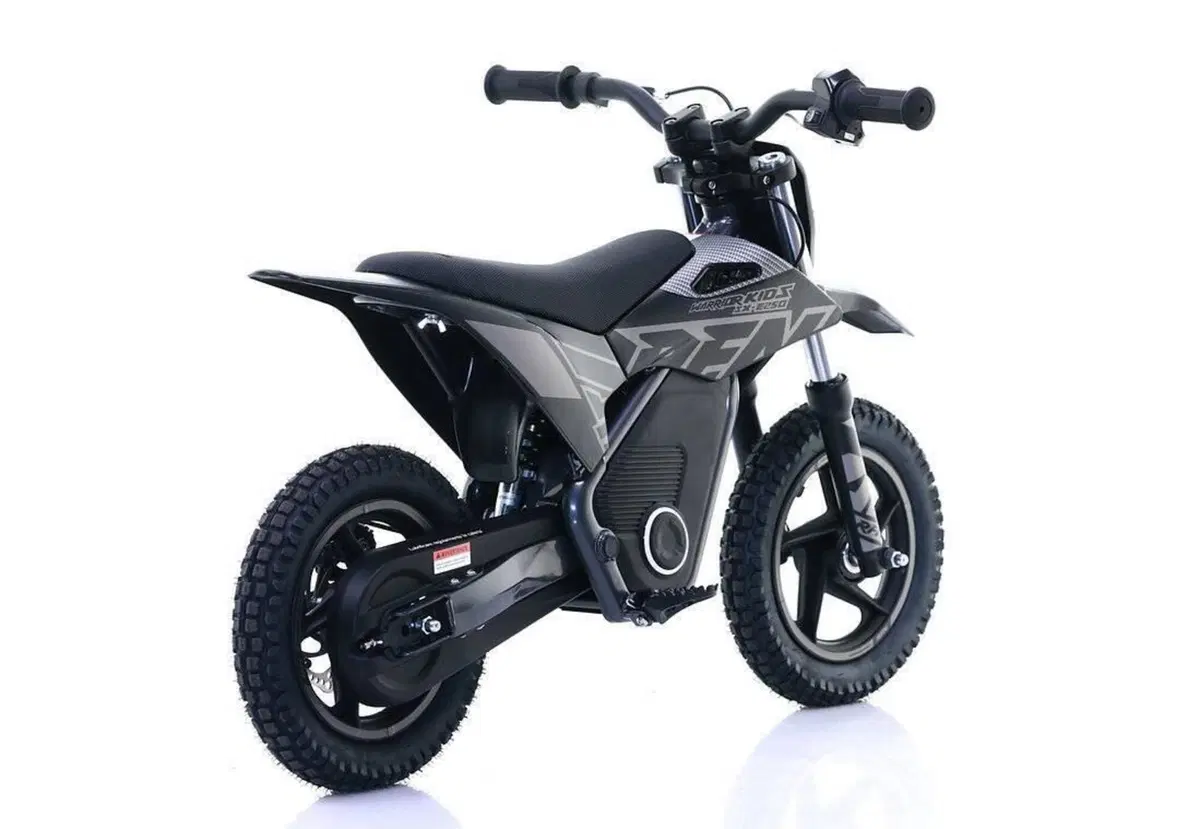  Altre moto o tipologie Elettrico (7)
