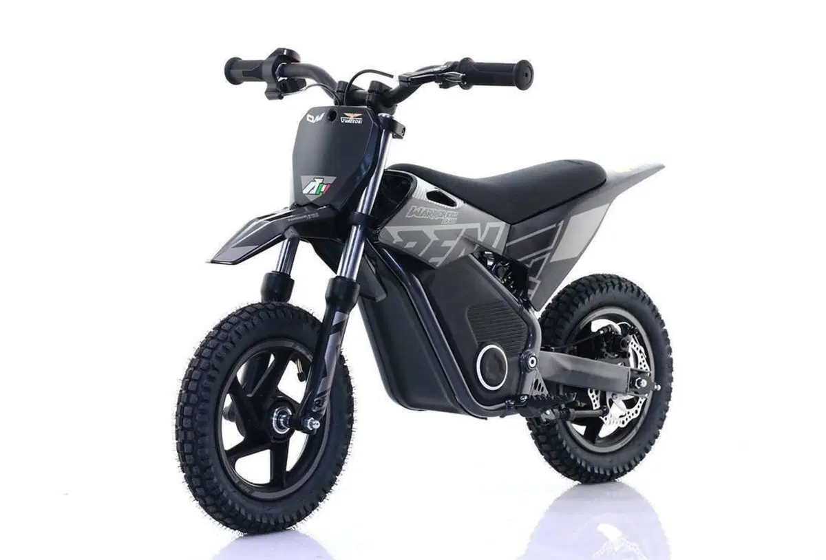  Altre moto o tipologie Elettrico (8)