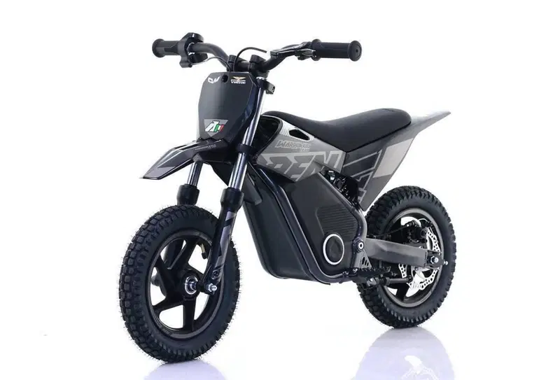  Altre moto o tipologie Elettrico (8)