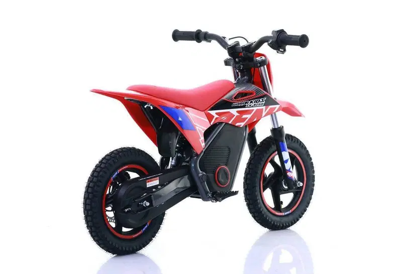  Altre moto o tipologie Elettrico (10)