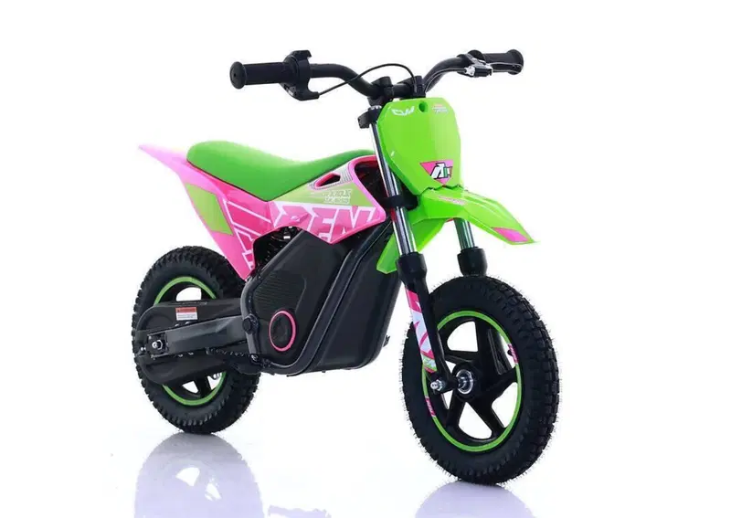  Altre moto o tipologie Elettrico (12)