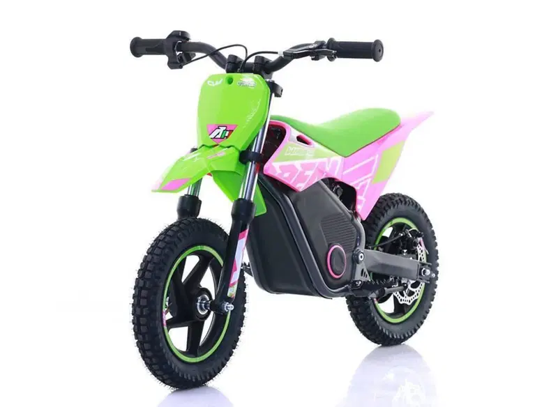  Altre moto o tipologie Elettrico (13)
